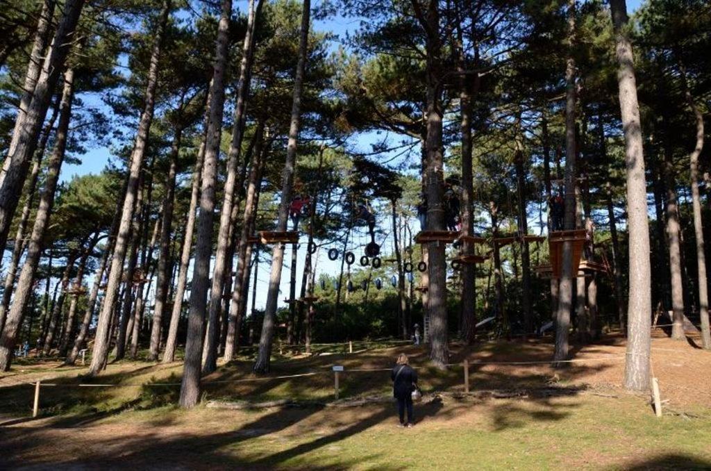 Knechtsand 414 Κουξχάφεν Εξωτερικό φωτογραφία